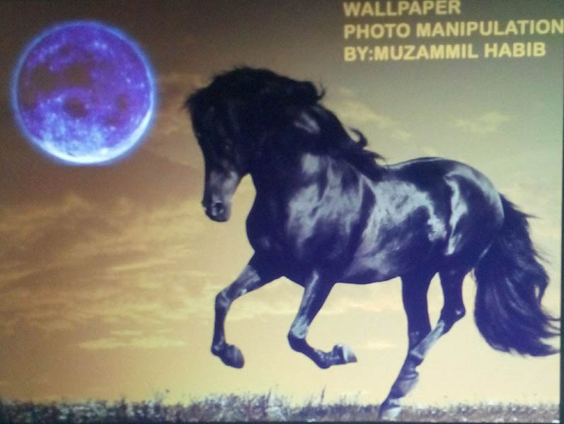 Photo Manipulation